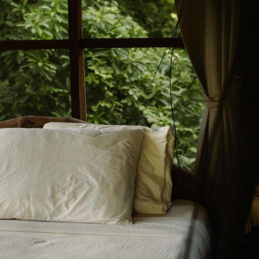 Selvista Guesthouses Balgue Dış mekan fotoğraf