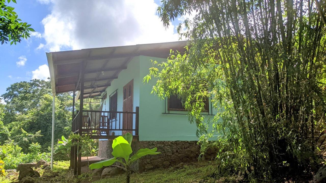 Selvista Guesthouses Balgue Dış mekan fotoğraf