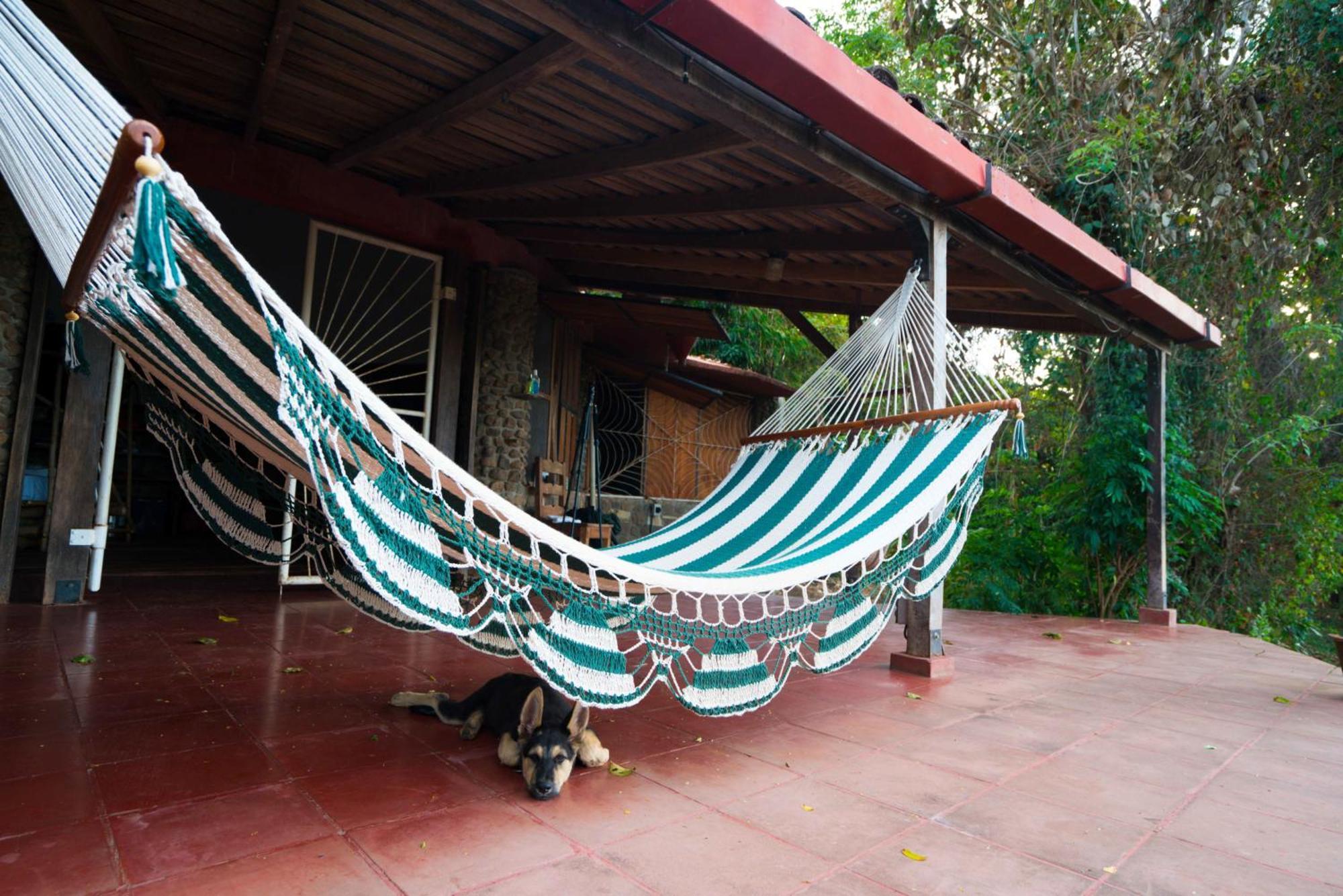 Selvista Guesthouses Balgue Oda fotoğraf